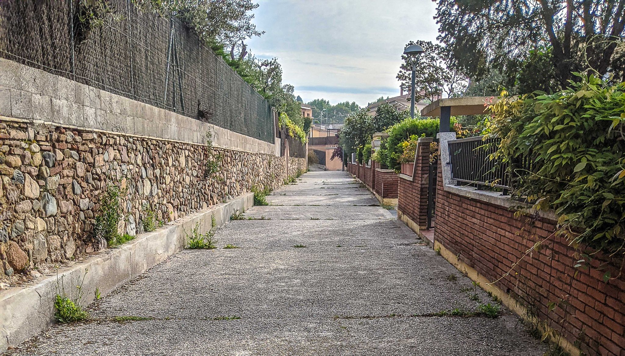 Diaz Carles  Passeig